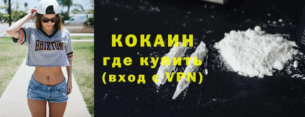 шишки Абаза