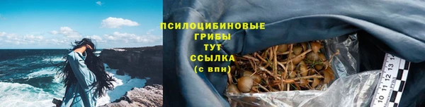 шишки Абаза