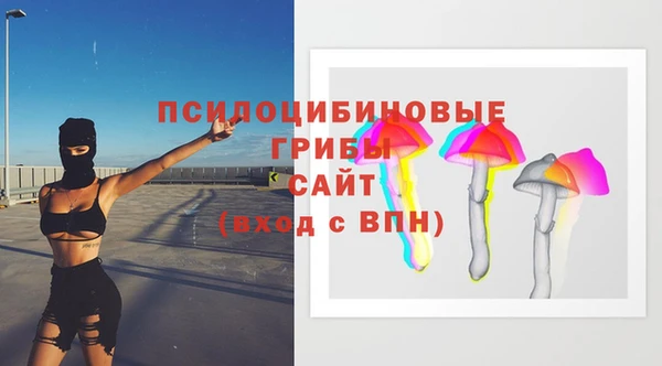 шишки Абаза