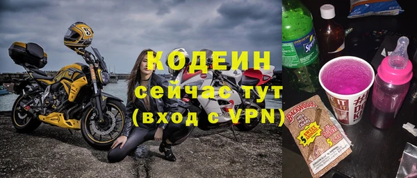 шишки Абаза