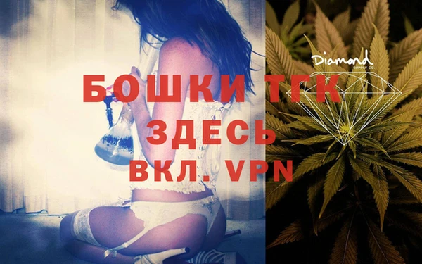 шишки Абаза