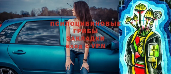 шишки Абаза