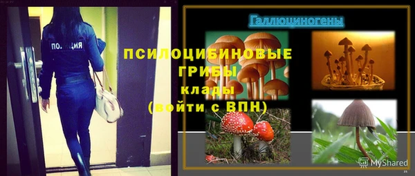 тгк Абинск