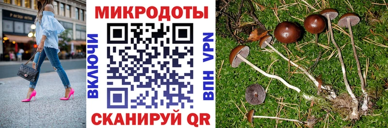 наркошоп  Белый  Псилоцибиновые грибы прущие грибы 